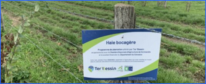 HAIES BOCAGÈRES : Ter’Bessin renouvelle sa commande groupée d’arbres
